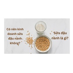 Sữa đậu nành là gì? Có nên kinh doanh sữa đậu nành không?