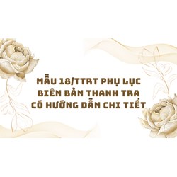 Mẫu 18/TTrT Phụ lục biên bản thanh tra có hướng dẫn chi tiết