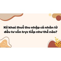 Kê khai thuế thu nhập cá nhân từ đầu tư vốn trực tiếp như thế nào?