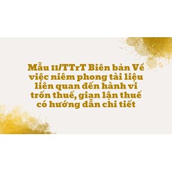 Mẫu 11/TTrT Biên bản Về việc niêm phong tài liệu liên quan đến hành vi trốn thuế, gian lận thuế có hướng dẫn chi tiết