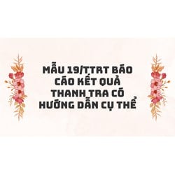 Hướng dẫn soạn thảo Báo cáo kết quả thanh tra