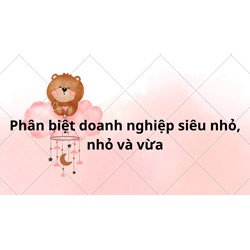 Phân biệt doanh nghiệp siêu nhỏ, nhỏ và vừa?
