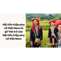 Hội liên hiệp phụ nữ Việt Nam là gì? Vai trò của Hội liên hiệp phụ nữ Việt Nam