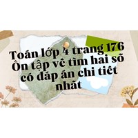Toán lớp 4 trang 176 Ôn tập về tìm hai số có đáp án chi tiết nhất