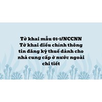 Hướng dẫn khai chi tiết Tờ khai điều chỉnh thông tin đăng ký thuế dành cho nhà cung cấp ở nước ngoài