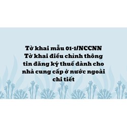 Hướng dẫn khai chi tiết Tờ khai điều chỉnh thông tin đăng ký thuế dành cho nhà cung cấp ở nước ngoài