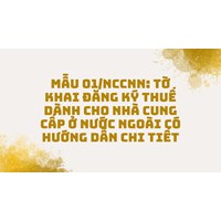 Tờ khai đăng ký thuế dành cho nhà cung cấp ở nước ngoài (Mẫu 01/NCCNN)