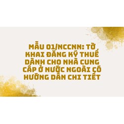 Tờ khai đăng ký thuế dành cho nhà cung cấp ở nước ngoài (Mẫu 01/NCCNN)