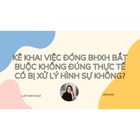 Kê khai việc đóng BHXH bắt buộc không đúng thực tế có bị xử lý hình sự không?