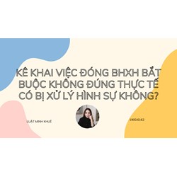 Kê khai việc đóng BHXH bắt buộc không đúng thực tế có bị xử lý hình sự không?