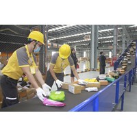 Hồ sơ cấp phép kinh doanh dịch vụ bưu chính