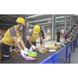 Hồ sơ cấp phép kinh doanh dịch vụ bưu chính