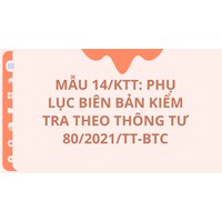 Mẫu 14/KTT: Phụ lục biên bản kiểm tra theo thông tư 80/2021/TT-BTC