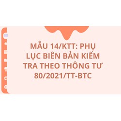 Mẫu 14/KTT: Phụ lục biên bản kiểm tra theo thông tư 80/2021/TT-BTC