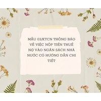 Chi tiết hướng dẫn soạn thảo Thông báo về việc nộp tiền thuế nợ vào ngân sách nhà nước