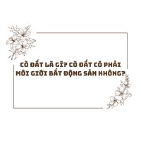 Cò đất là gì? Cò đất có phải môi giới bất động sản không?