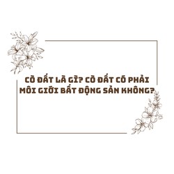 Cò đất là gì? Cò đất có phải môi giới bất động sản không?