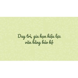 Quy định về duy trì, gia hạn hiệu lực văn bằng bảo hộ