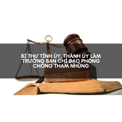Bí thư tỉnh ủy, thành ủy làm Trưởng Ban Chỉ đạo phòng chống tham nhũng