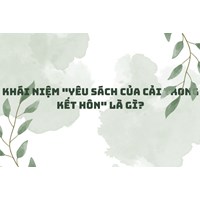 Khái niệm "Yêu sách của cải trong kết hôn" là gì?