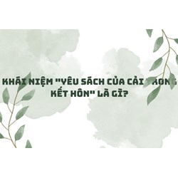 Khái niệm "Yêu sách của cải trong kết hôn" là gì?