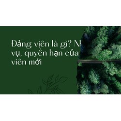 Đảng viên là gì? Nhiệm vụ, Quyền hạn, Kết nạp?