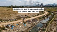 Ô nhiễm đất là gì? Thực trạng ô nhiễm đất tại Việt Nam hiện nay