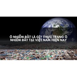 Ô nhiễm đất là gì? Thực trạng ô nhiễm đất tại Việt Nam hiện nay