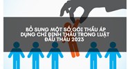 Bổ sung một số gói thầu áp dụng chỉ định thầu trong Luật Đấu thầu mới