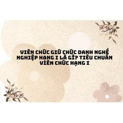 Viên chức giữ chức danh nghề nghiệp hạng I là gì? Tiêu chuẩn viên chức hạng I