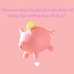 Tiền tạm ứng chi phí phá sản được sử dụng cho những mục đích gì?