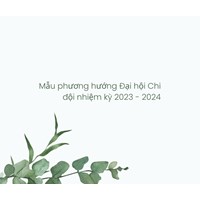 Mẫu phương hướng Đại hội Chi đội nhiệm kỳ chi tiết nhất