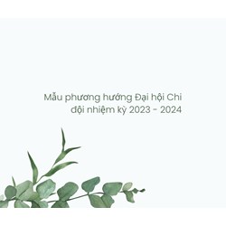 Mẫu phương hướng Đại hội Chi đội nhiệm kỳ chi tiết nhất