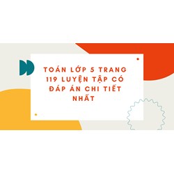 Toán lớp 5 trang 119 Luyện tập có đáp án chi tiết nhất