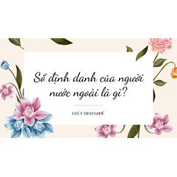 Số định danh của người nước ngoài là gì?