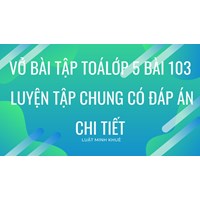 Vở bài tập Toán lớp 5 bài 103 Luyện tập chung có đáp án chi tiết