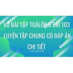 Vở bài tập Toán lớp 5 bài 103 Luyện tập chung có đáp án chi tiết
