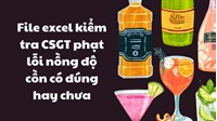 File excel kiểm tra CSGT phạt lỗi nồng độ cồn có đúng hay chưa?