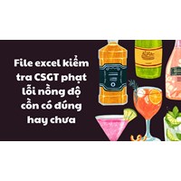 File excel kiểm tra CSGT phạt lỗi nồng độ cồn có đúng hay chưa?