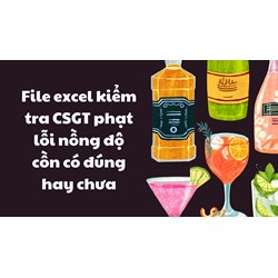 File excel kiểm tra CSGT phạt lỗi nồng độ cồn có đúng hay chưa?