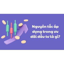 Nguyên tắc áp dụng trong ưu đãi đầu tư là gì?