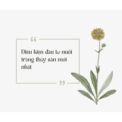 Điều kiện đầu tư nuôi trồng thủy sản mới nhất