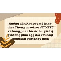 Hướng dẫn Phụ lục mới nhất theo Thông tư 80/2021/TT-BTC về bảng phân bổ số thu  giá trị gia tăng phải nộp đối với hoạt động sản xuất thủy điện
