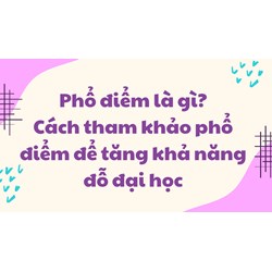 Phổ điểm là gì? Cách tham khảo phổ điểm để tăng khả năng đỗ đại học