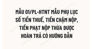 Mẫu 01/PL-HTNT Mẫu phụ lục số tiền thuế, tiền chậm nộp, tiền phạt nộp thừa được hoàn trả có hướng dẫn