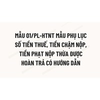 Mẫu 01/PL-HTNT Mẫu phụ lục số tiền thuế, tiền chậm nộp, tiền phạt nộp thừa được hoàn trả có hướng dẫn