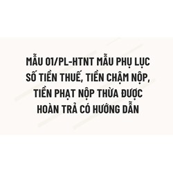 Mẫu 01/PL-HTNT Mẫu phụ lục số tiền thuế, tiền chậm nộp, tiền phạt nộp thừa được hoàn trả có hướng dẫn