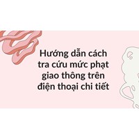Hướng dẫn cách tra cứu mức phạt giao thông trên điện thoại chi tiết