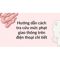 Hướng dẫn cách tra cứu mức phạt giao thông trên điện thoại chi tiết