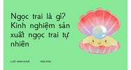 Ngọc trai là gì? Kinh nghiệm sản xuất ngọc trai tự nhiên